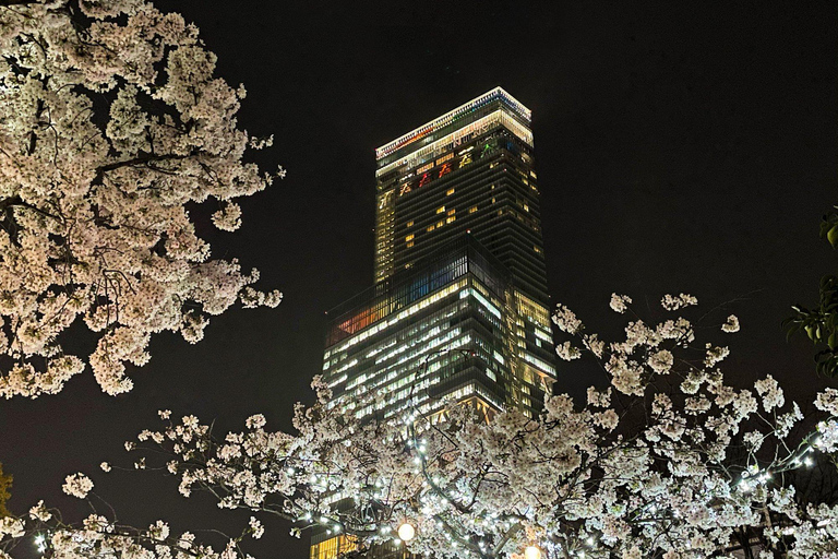 Osaka: Abeno Harukas 300 Observatorium E-TicketLokal inträdesbiljett - HARUKAS 300 (observationsdäck)