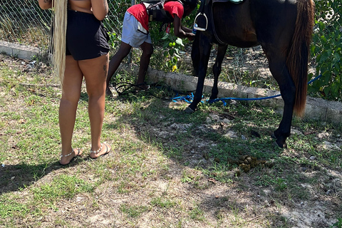 Depuis Montego Bay : Équitation-Natation &amp; Chutes de Dunns River