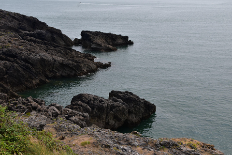 Cardiff: Private Day Trip to Mumbles and Gower Peninsula