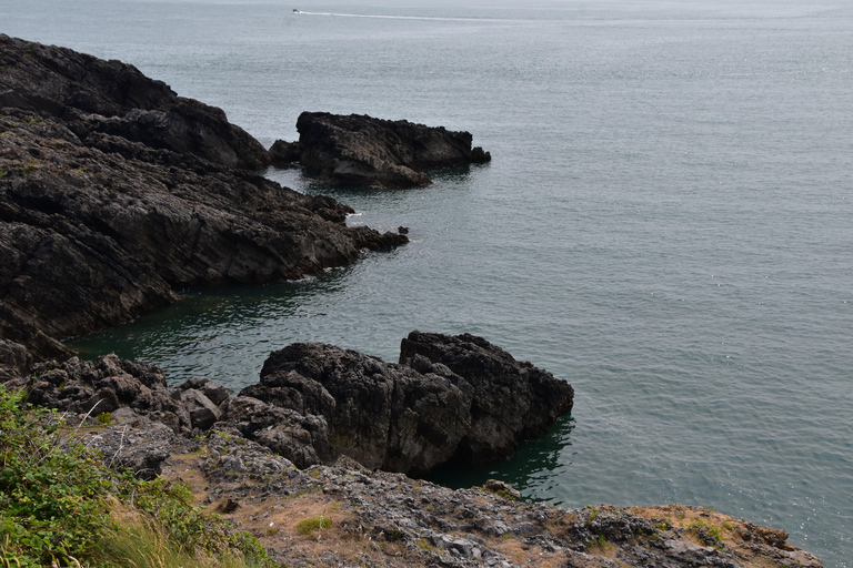 Cardiff: Private Day Trip to Mumbles and Gower Peninsula