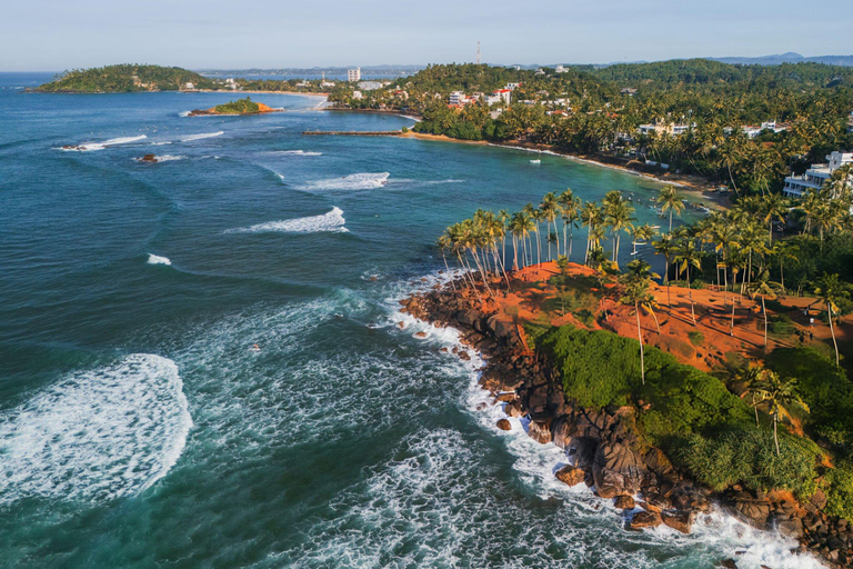 Coastal Crown: Galle to Mirissa Coconut Tree Hill Tour