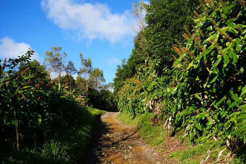 Azoren: wandeltocht São Miguel en Lagoa do Fogo