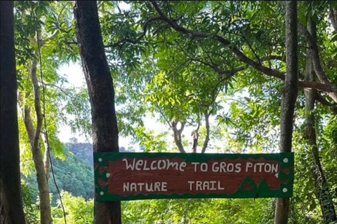 Gros Piton Adventure with Tour For The Day