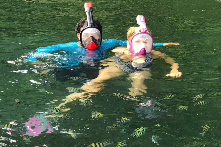 Soufriere/Westküste: Privates Boot, Schwimmen, Schnorcheln und Strand31&#039; Boot - Real Nauti