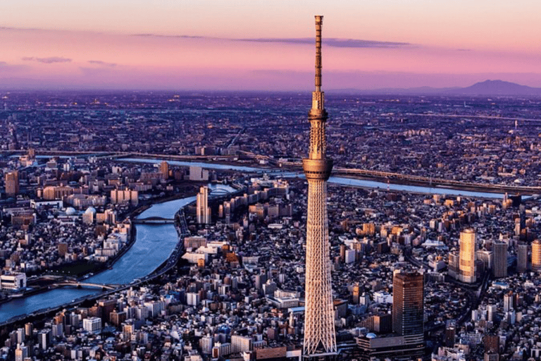 Tour privato di Tokyo di un giorno con autista che parla inglese