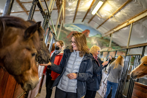 Reykholt: Icelandic Horses & Stable Visit