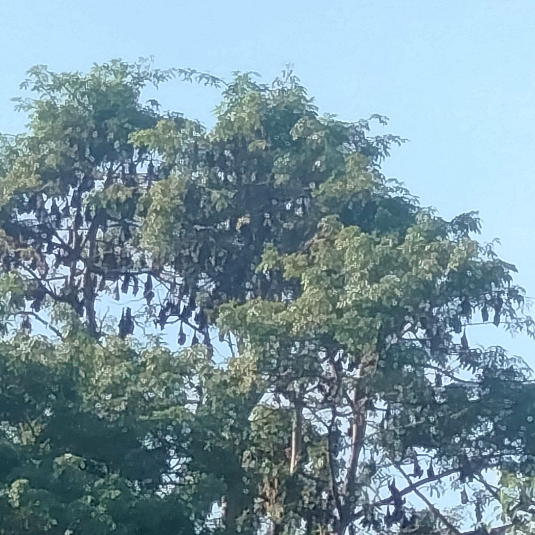 Colagem de mídia