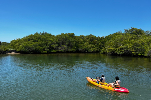 Santa Cruz: Kayaking and Snorkeling Adventure in Academia Bay