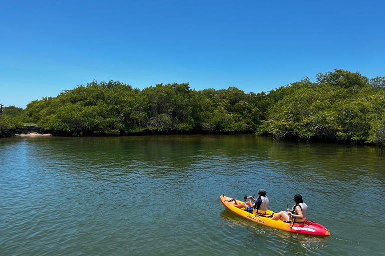 Santa Cruz: Kayaking and Snorkeling Adventure in Academia Bay