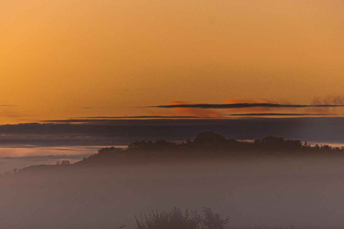 Lofoten: Midnight Magic Tour with Snacks and Drinks