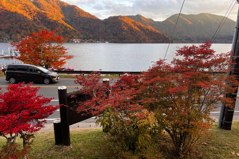 Nikko : visite guidée privée en voiture avec guide anglais