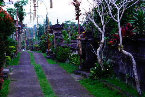 Bali: Magical Night Firefly Tour & Authentic Culture insight