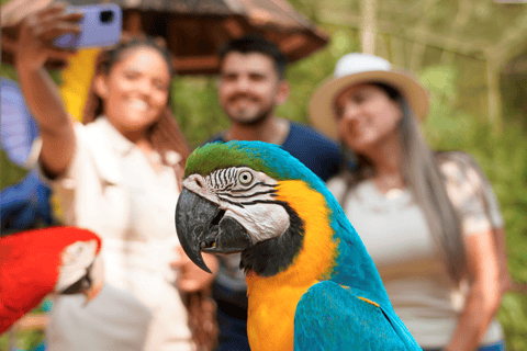 Wodospady Iguassu: Wodospady Iguassu we wszystkich wymiarach