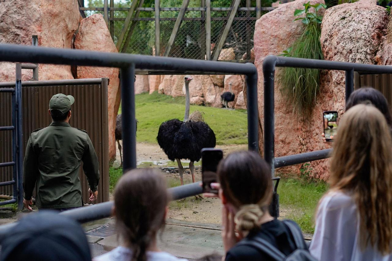 Bali Zoo: Behind Closed Doors Afternoon Safari Guided Tour Behind the Closed Door Tour with Hotel Return Transfer