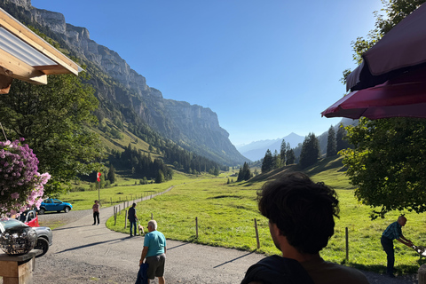 Interlaken: Red Deer Rut Tour with Sunset Fondue