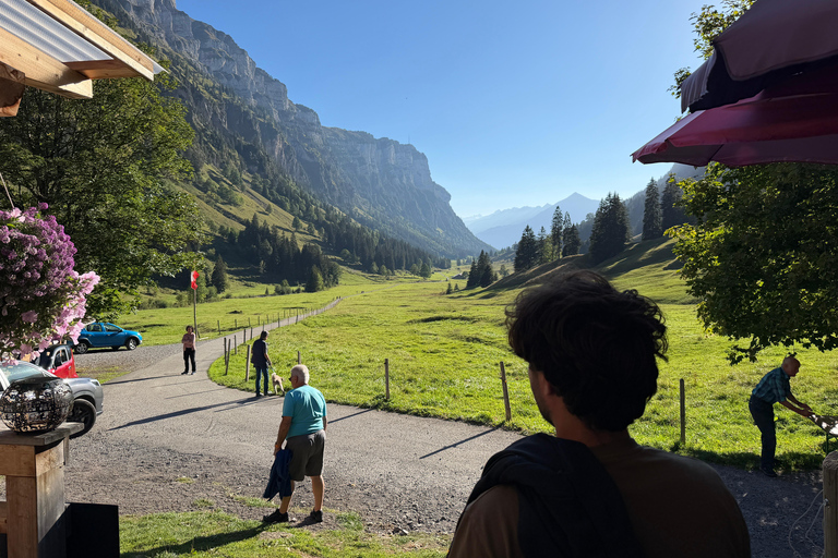 Interlaken: Red Deer Rut Tour with Sunset Fondue