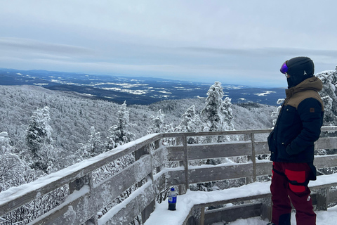 Montreal: Canadian Forest Guided Tour by Snowmobile Snowmobile for One Person