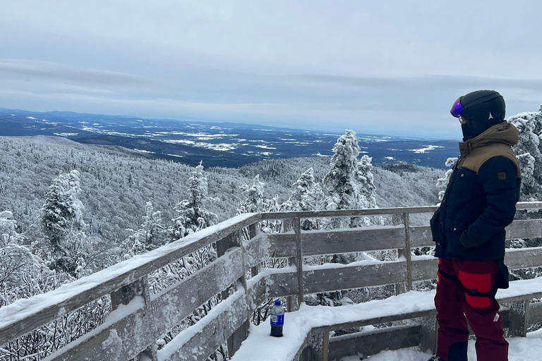 Montreal: Canadian Forest Guided Tour by Snowmobile Snowmobile for One Person