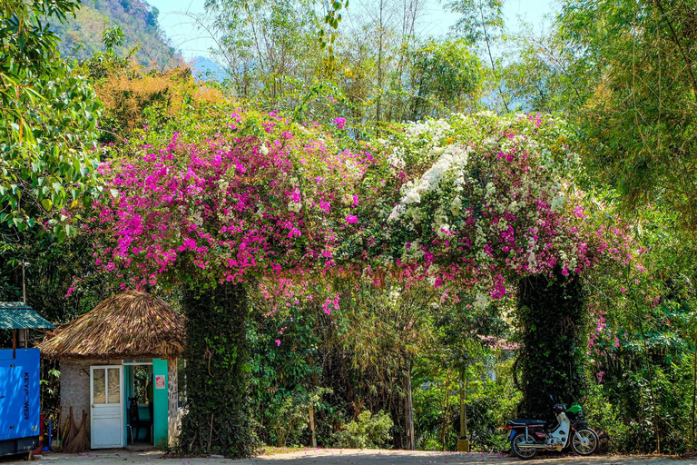 Mai Chau: Scenic Pass, Cycling & Thai Village Discovery Group Tour