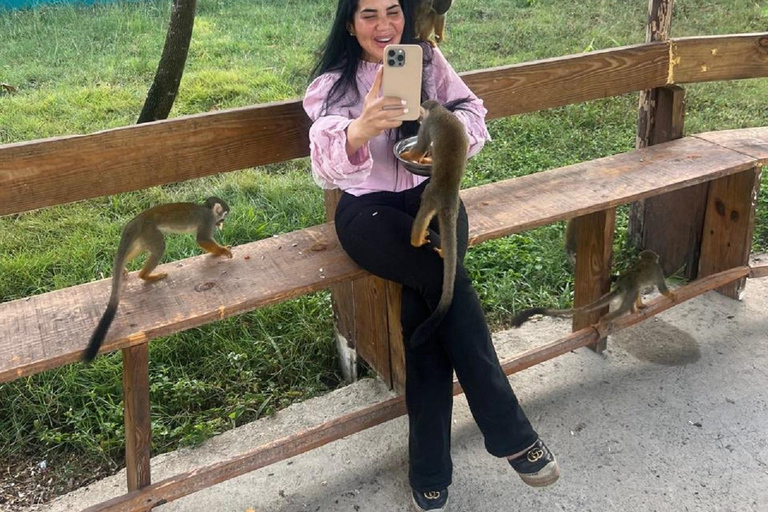 Puerto Plata: Watching Wild Primates and Botanical Hiking