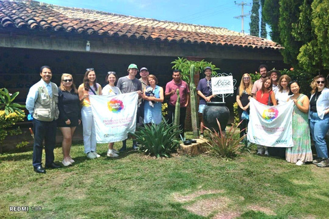 Au départ de Tuxtla Gutierrez : circuit de 4 jours à Palenque et au ChiapasDepuis Tuxtla Gutierrez : circuit de 4 jours à Palenque et au Chiapas