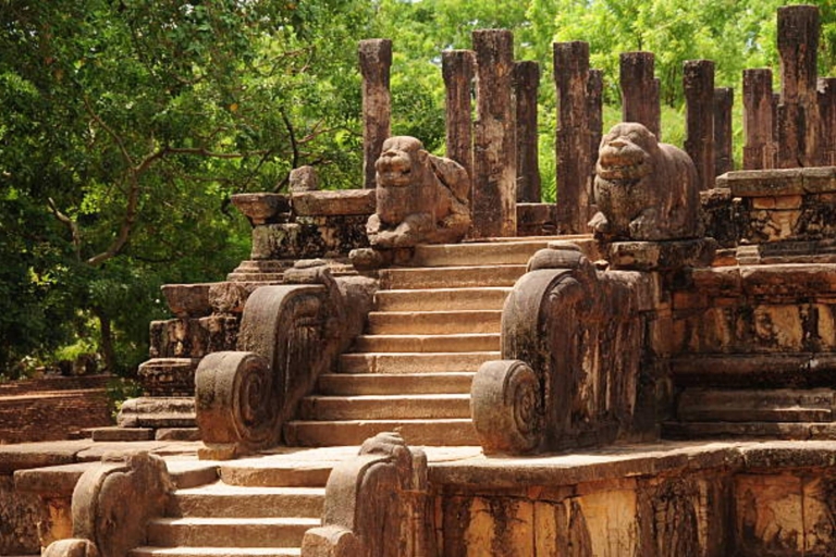 Oude stadstour Polonnaruwa met Minneriya-olifantensafari