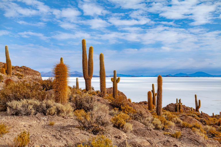 3-Day Salt Flats & Altiplano Tour to San Pedro de Atacama ENGLISH TOUR