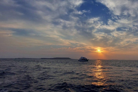 Sharm: Ras Mohamed & White Island Snorkeling, Diving & Lunch Option: Snorkeling with 1 Dive