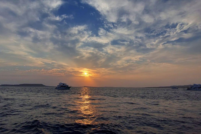 Sharm: Ras Mohamed & White Island Snorkeling, Diving & Lunch Option: Snorkeling with 1 Dive