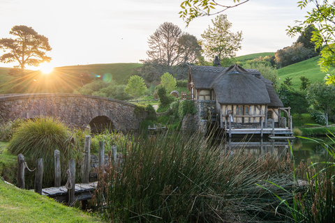 Ab Auckland: Tagestour zum Filmset Hobbiton und RotoruaHobbiton Movie Set &amp; Rotorua Premium Tagestour ab Auckland