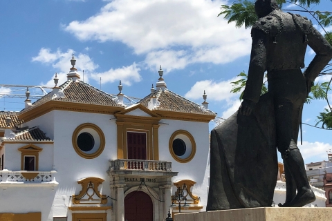 Séville : visite à pied de la Plaza de Toros et du musée en espagnol