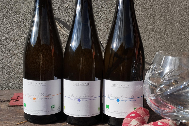 Gertwiller: Food and wine pairing workshop to prepare your Christmas meal!