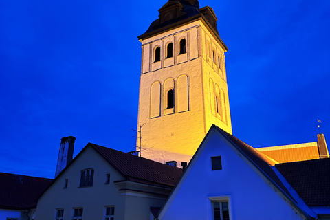 Tallinn: Midsummer Tour with Multiple Options Tallinn’s Industrial & Coastal Stories
