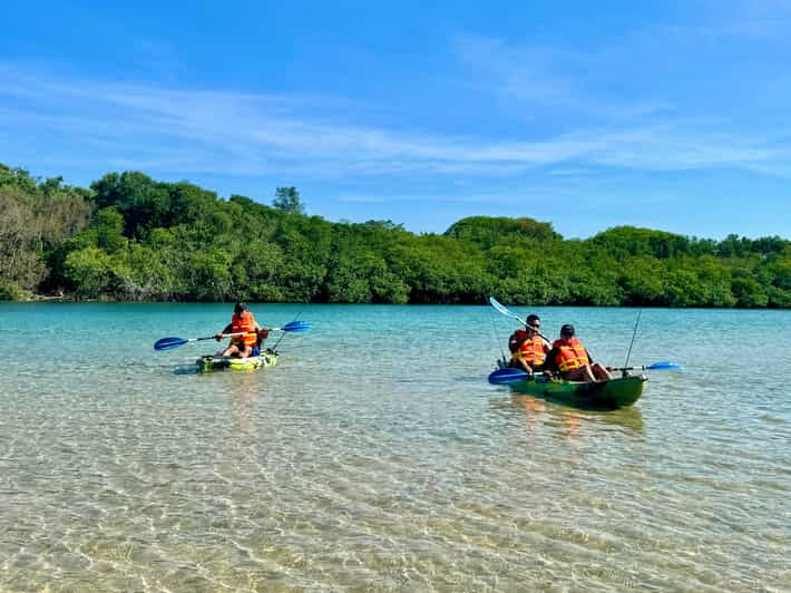 Kayak Rental