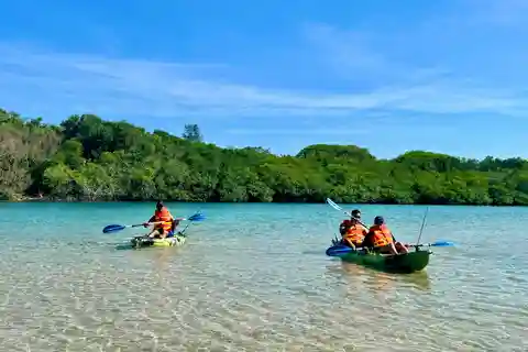 Kayak Rental