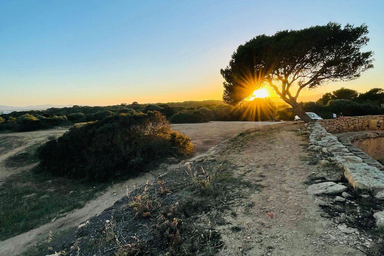 Weimar: AdventureDate, promenad med frågesport och middag för par