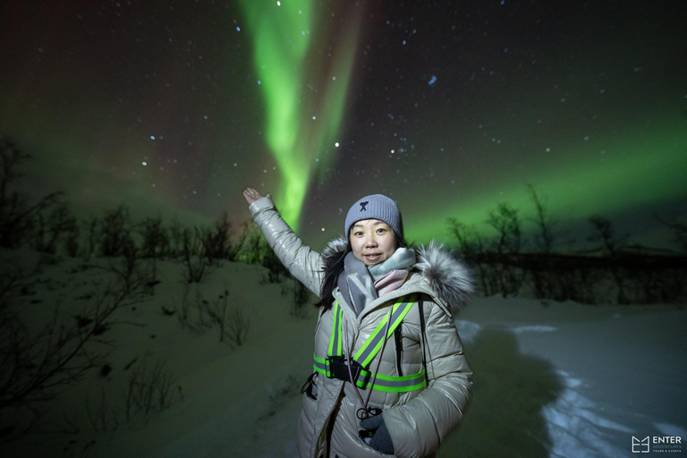 From Tromsø: Northern Lights Bus Tour