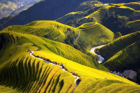 Yangshuo: Longji Terraces & Long Hair Village Private Tour