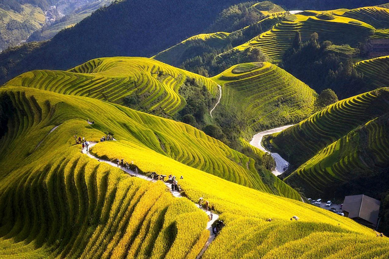 Yangshuo: Longji Terraces & Long Hair Village Private Tour