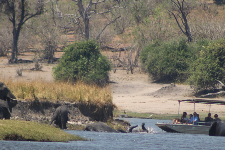 Viagem de 1 dia prolongado ao Chobe