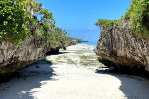 Zanzibar: Jozani Forest, Salaam Cave & Mtende Beach Tour Private Tour With Transfer But Entry Fees are not Included