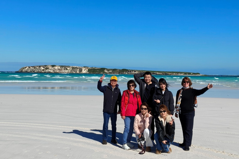 From Perth: Koala, Pinnacles Stargazing Day Tour