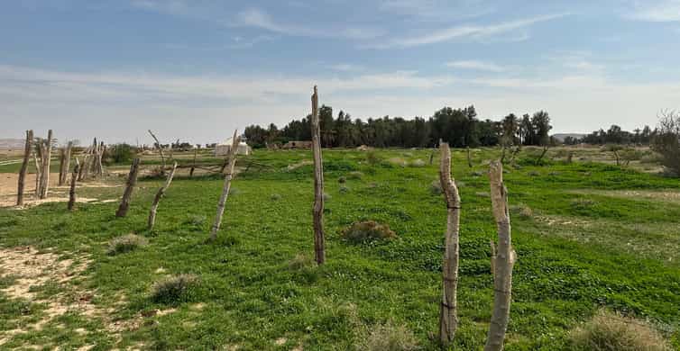 Explore the country side and valleys in northern Riyadh | GetYourGuide