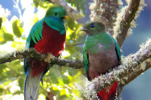 Explore Costa Rica: 4 Days, 3 Volcanoes, 4 Beaches, All Inclusive Explore Costa Rica: 4 Days, 3 Volcanoes, 4 Beaches, All-Inclusive