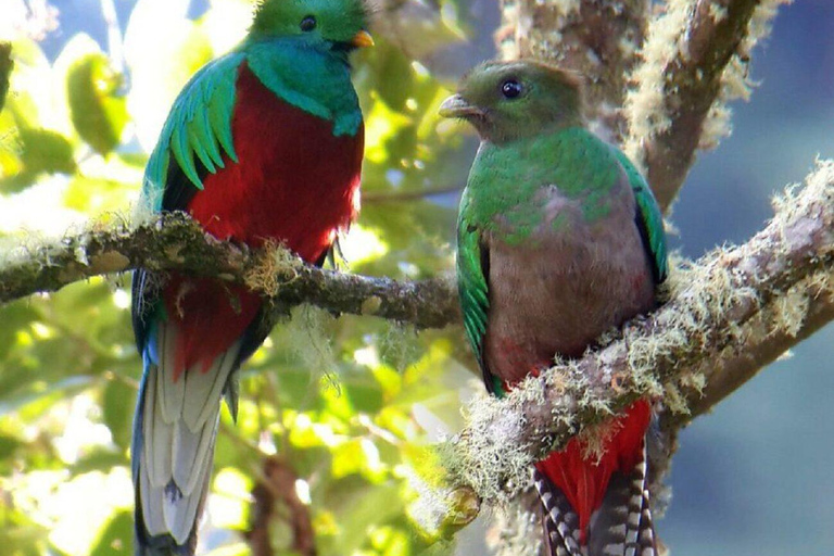 Explore Costa Rica: 4 Days, 3 Volcanoes, 4 Beaches, All Inclusive Explore Costa Rica: 4 Days, 3 Volcanoes, 4 Beaches, All-Inclusive