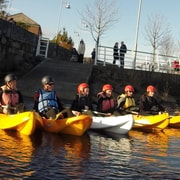 Limerick City: Kayaking Tours Limerick City: Kayaking Tours