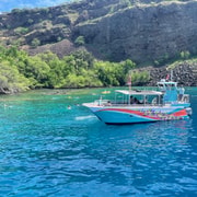 Kailua-Kona: Captain Cook Reef Catamaran Day Trip with Lunch