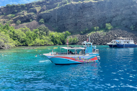 Kailua-Kona: Captain Cook Reef Catamaran Day Trip with Lunch Tour with Snorkeling and Swimming