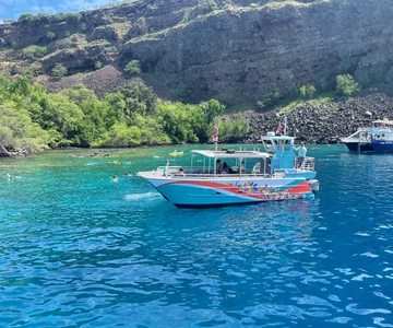 Kailua-Kona: Captain Cook Reef Catamaran Day Trip with Lunch