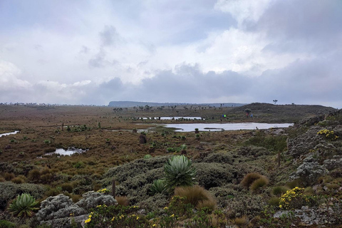 Aberdares: Caminhada guiada pelas Sete Lagoas com vistas panorâmicasAberdares: Caminhada guiada pelas Sete Lagoas com vistas incríveis